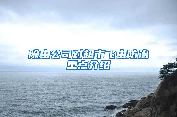 除蟲公司對超市飛蟲防治重點(diǎn)介紹