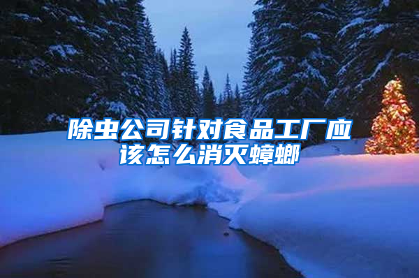 除蟲公司針對食品工廠應(yīng)該怎么消滅蟑螂
