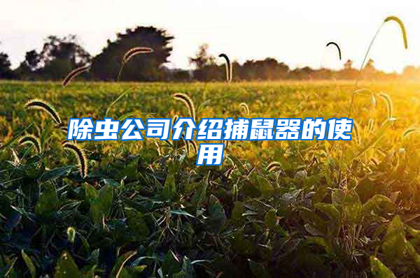 除蟲(chóng)公司介紹捕鼠器的使用