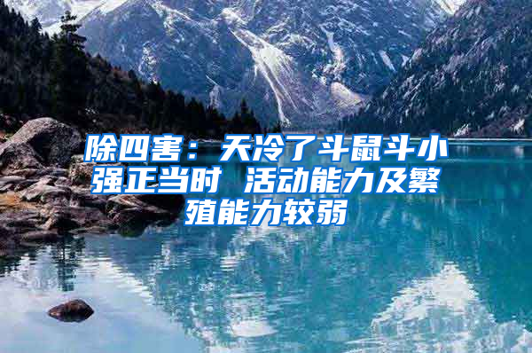 除四害：天冷了斗鼠斗小強正當(dāng)時 活動能力及繁殖能力較弱