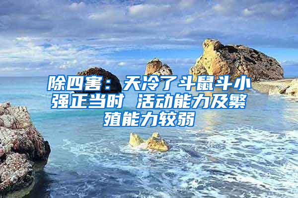 除四害：天冷了斗鼠斗小強正當(dāng)時 活動能力及繁殖能力較弱