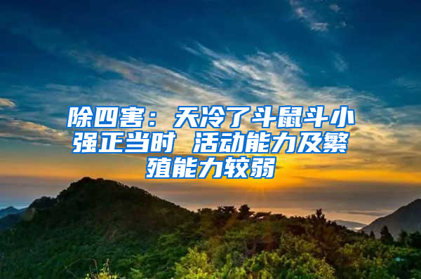 除四害：天冷了斗鼠斗小強(qiáng)正當(dāng)時(shí) 活動能力及繁殖能力較弱