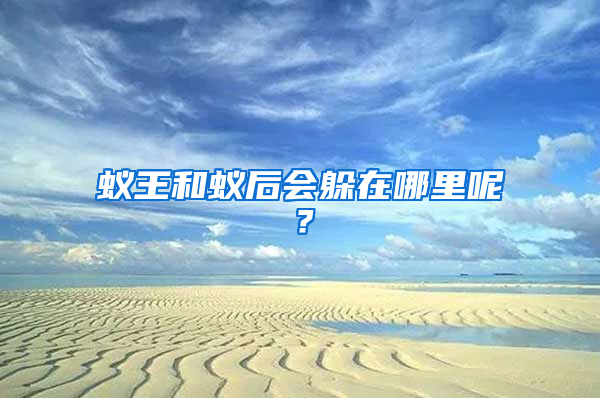 蟻王和蟻后會(huì)躲在哪里呢？