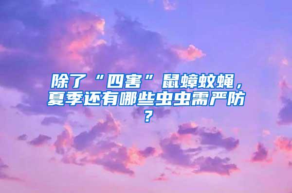 除了“四害”鼠蟑蚊蠅，夏季還有哪些蟲蟲需嚴(yán)防？