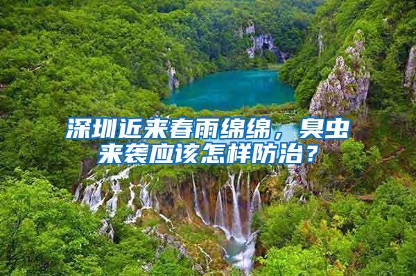 深圳近來春雨綿綿，臭蟲來襲應(yīng)該怎樣防治？