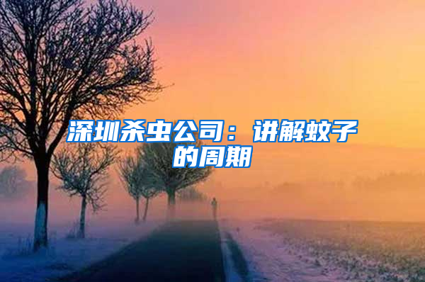 深圳殺蟲(chóng)公司：講解蚊子的周期