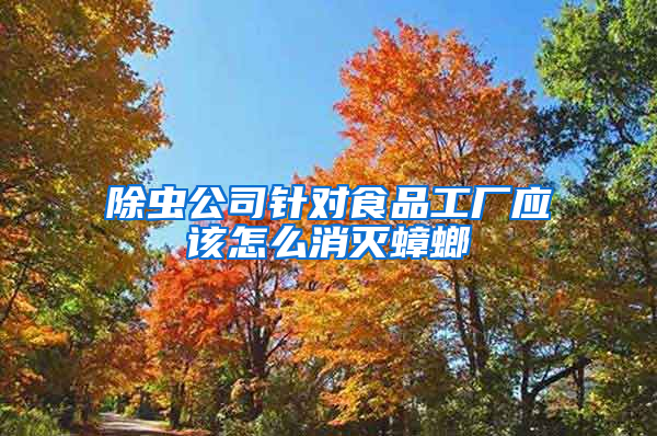 除蟲(chóng)公司針對(duì)食品工廠(chǎng)應(yīng)該怎么消滅蟑螂