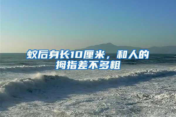 蟻后身長(zhǎng)10厘米，和人的拇指差不多粗