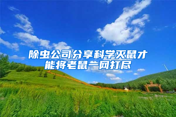 除蟲公司分享科學滅鼠才能將老鼠一網(wǎng)打盡