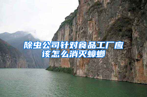 除蟲公司針對(duì)食品工廠應(yīng)該怎么消滅蟑螂