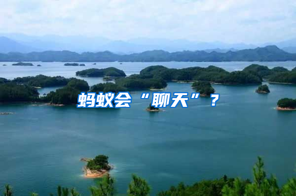 螞蟻會“聊天”？