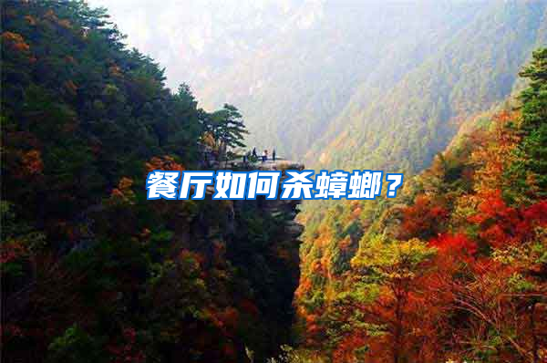 餐廳如何殺蟑螂？