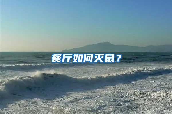餐廳如何滅鼠？
