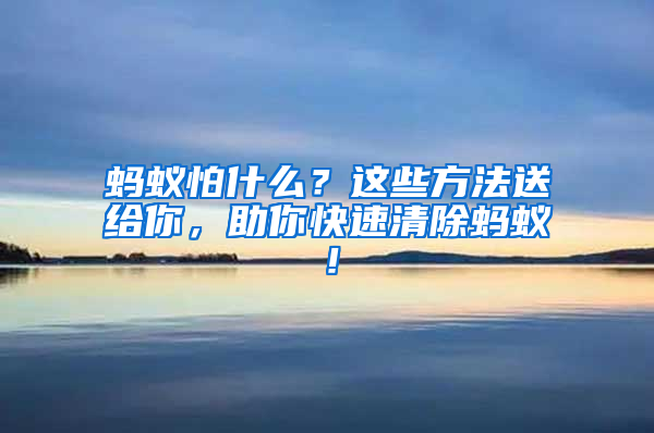 螞蟻怕什么？這些方法送給你，助你快速清除螞蟻！