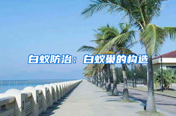 白蟻防治：白蟻巢的構(gòu)造