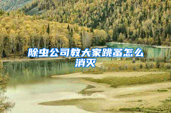 除蟲(chóng)公司教大家跳蚤怎么消滅