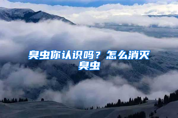 臭蟲你認(rèn)識(shí)嗎？怎么消滅臭蟲