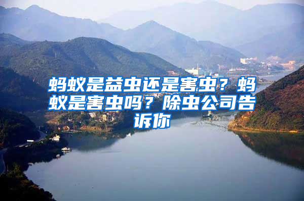 螞蟻是益蟲(chóng)還是害蟲(chóng)？螞蟻是害蟲(chóng)嗎？除蟲(chóng)公司告訴你