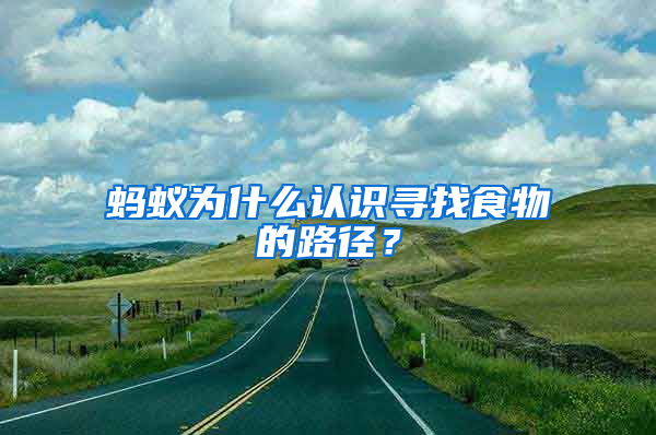 螞蟻為什么認(rèn)識(shí)尋找食物的路徑？