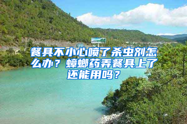 餐具不小心噴了殺蟲劑怎么辦？蟑螂藥弄餐具上了還能用嗎？
