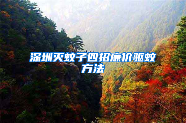 深圳滅蚊子四招廉價驅(qū)蚊方法