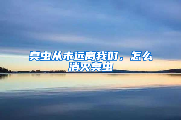 臭蟲從未遠離我們，怎么消滅臭蟲