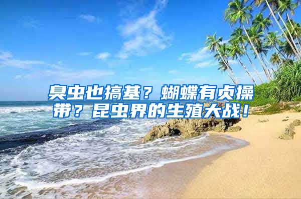 臭蟲也搞基？蝴蝶有貞操帶？昆蟲界的生殖大戰(zhàn)！