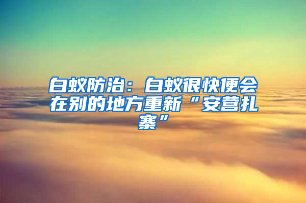 白蟻防治：白蟻很快便會(huì)在別的地方重新“安營(yíng)扎寨”
