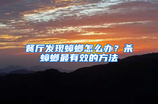 餐廳發(fā)現(xiàn)蟑螂怎么辦？殺蟑螂最有效的方法