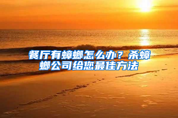 餐廳有蟑螂怎么辦？殺蟑螂公司給您最佳方法