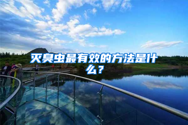 滅臭蟲最有效的方法是什么？