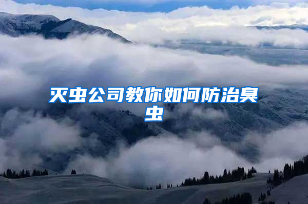 滅蟲(chóng)公司教你如何防治臭蟲(chóng)