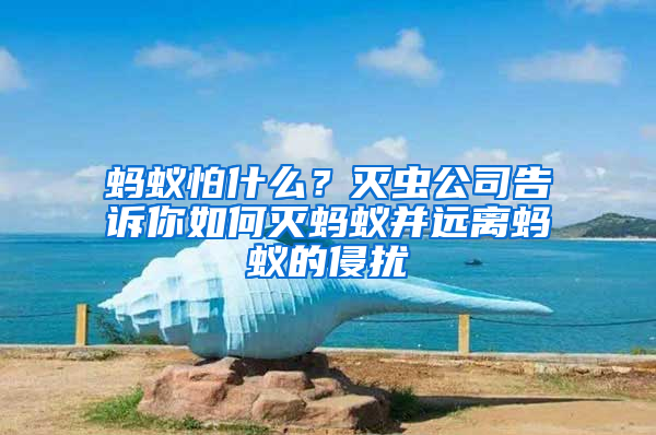 螞蟻怕什么？滅蟲公司告訴你如何滅螞蟻并遠離螞蟻的侵擾