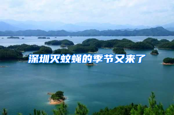 深圳滅蚊蠅的季節(jié)又來(lái)了