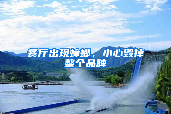 餐廳出現(xiàn)蟑螂，小心毀掉整個(gè)品牌