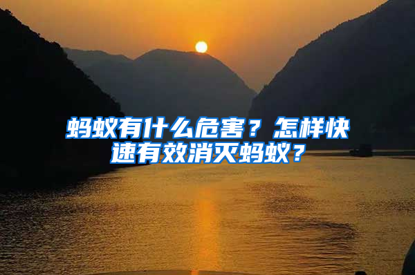 螞蟻有什么危害？怎樣快速有效消滅螞蟻？