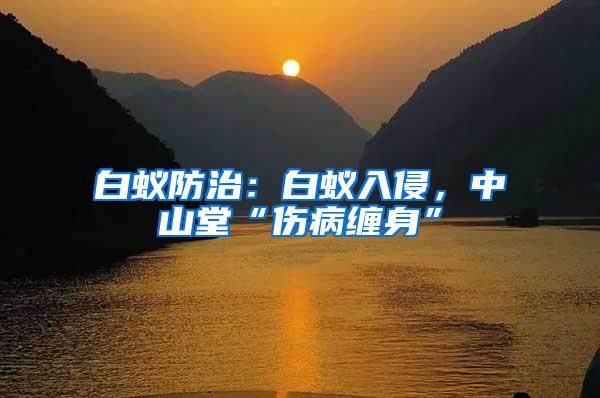 白蟻防治：白蟻入侵，中山堂“傷病纏身”