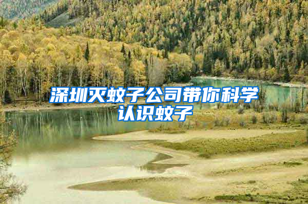 深圳滅蚊子公司帶你科學(xué)認(rèn)識蚊子