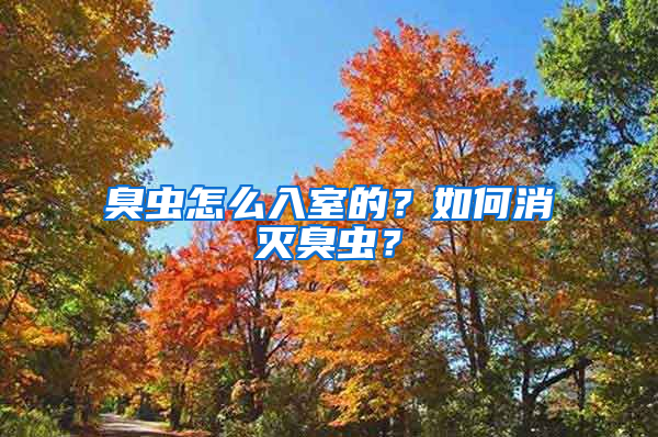 臭蟲怎么入室的？如何消滅臭蟲？