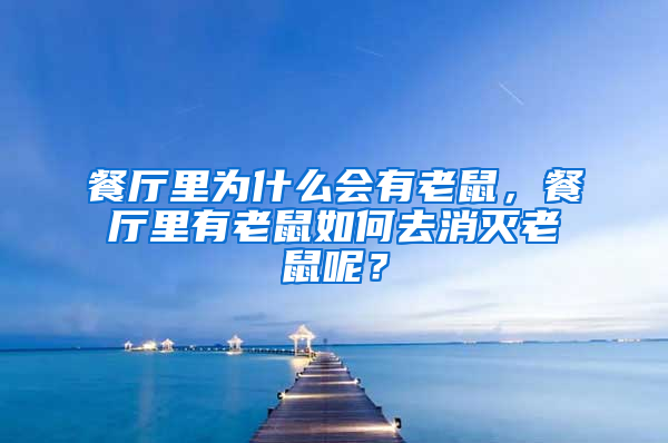 餐廳里為什么會有老鼠，餐廳里有老鼠如何去消滅老鼠呢？