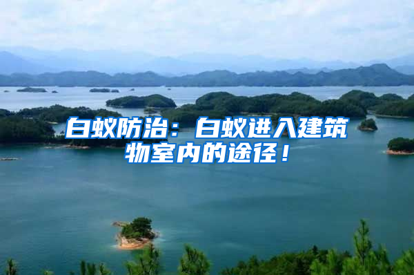 白蟻防治：白蟻進(jìn)入建筑物室內(nèi)的途徑！