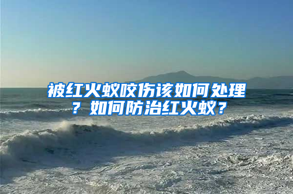 被紅火蟻咬傷該如何處理？如何防治紅火蟻？