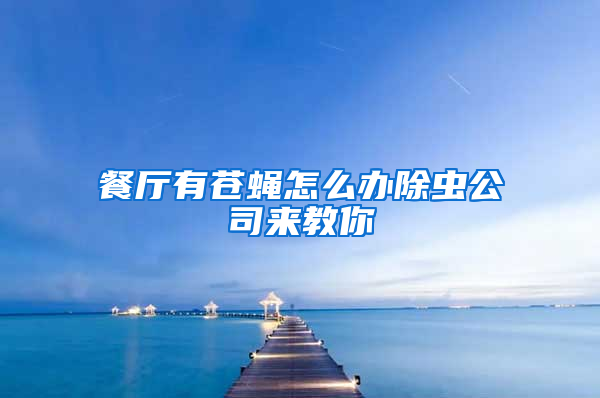 餐廳有蒼蠅怎么辦除蟲(chóng)公司來(lái)教你