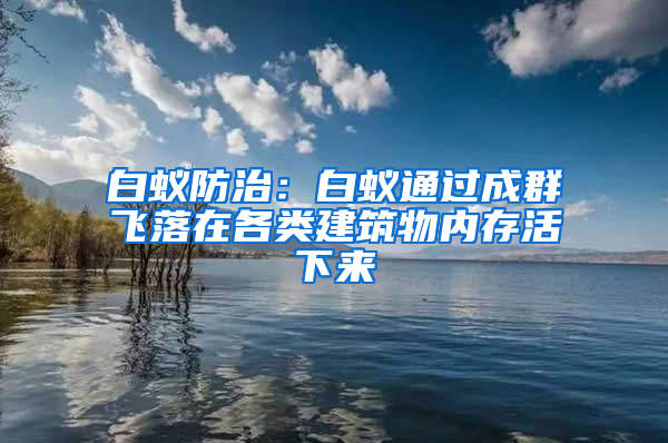 白蟻防治：白蟻通過(guò)成群飛落在各類(lèi)建筑物內(nèi)存活下來(lái)