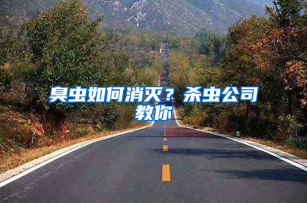 臭蟲如何消滅？殺蟲公司教你