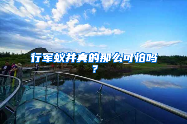 行軍蟻并真的那么可怕嗎？