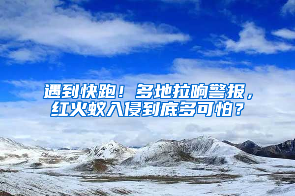 遇到快跑！多地拉響警報(bào)，紅火蟻入侵到底多可怕？