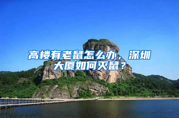 高樓有老鼠怎么辦，深圳大廈如何滅鼠？
