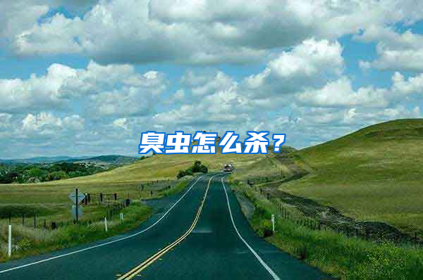 臭蟲怎么殺？