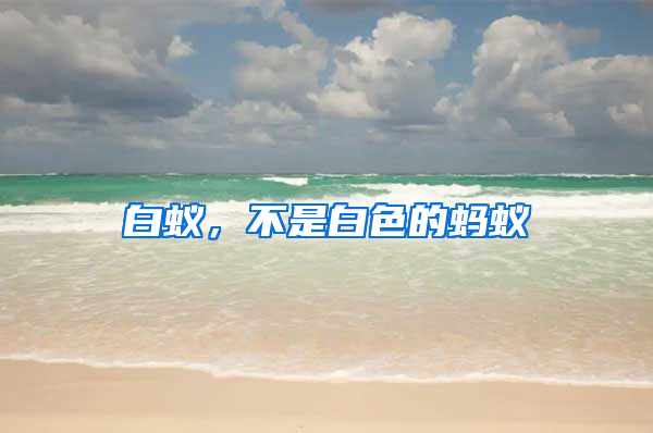 白蟻，不是白色的螞蟻